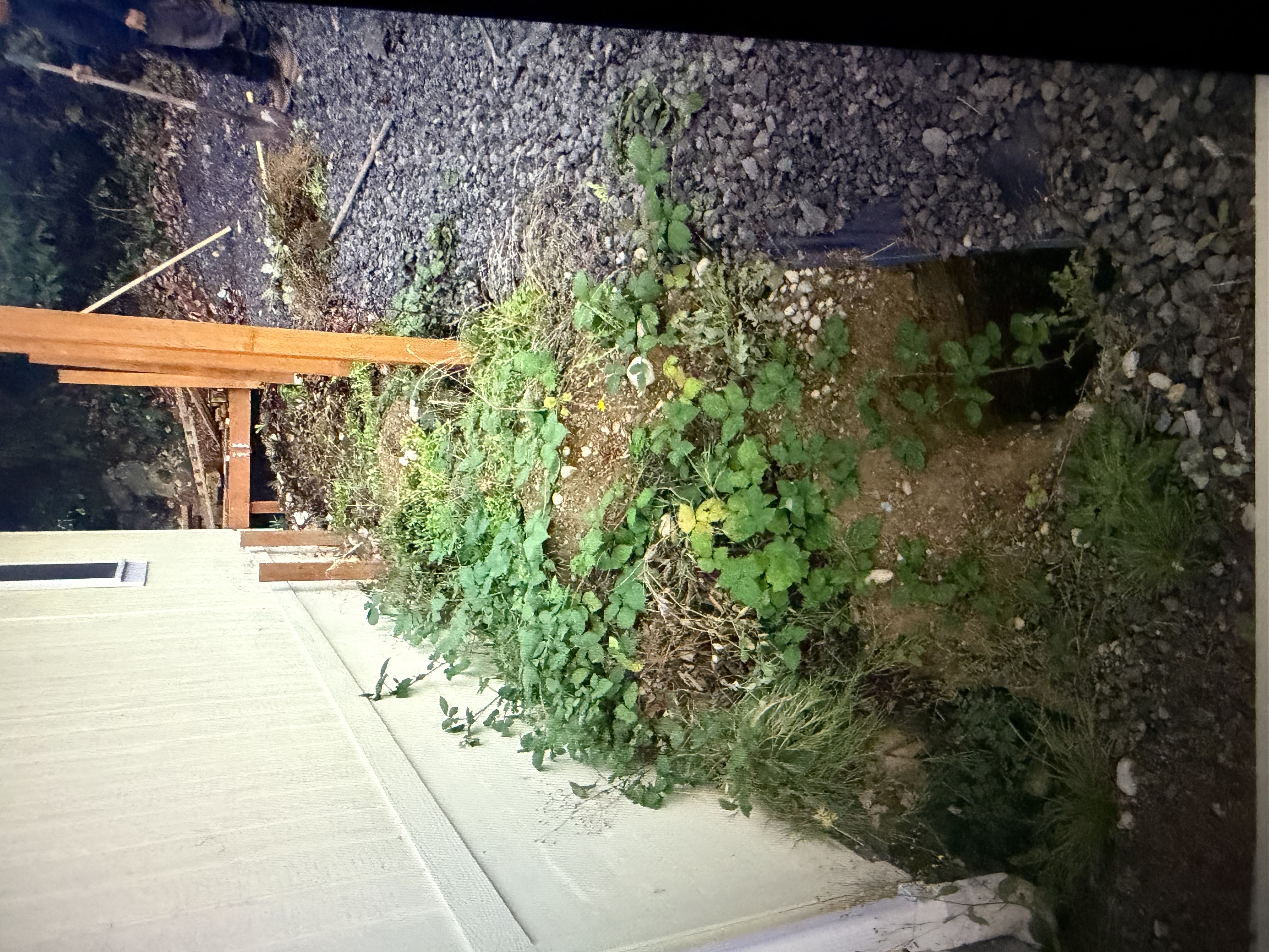 OVI Construction — Eusebio Ventura